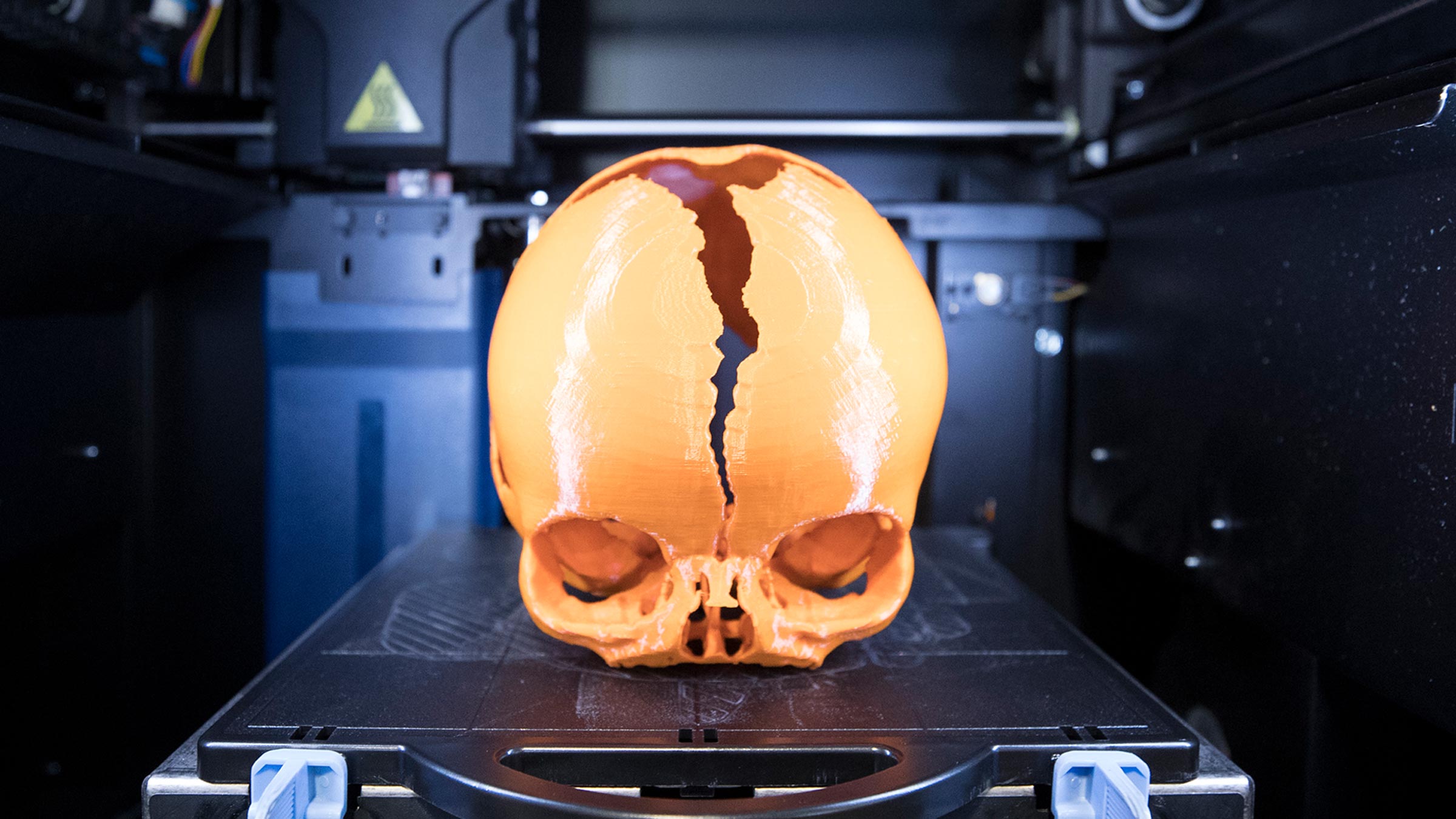 3D Printing and the Future of Anatomy Education