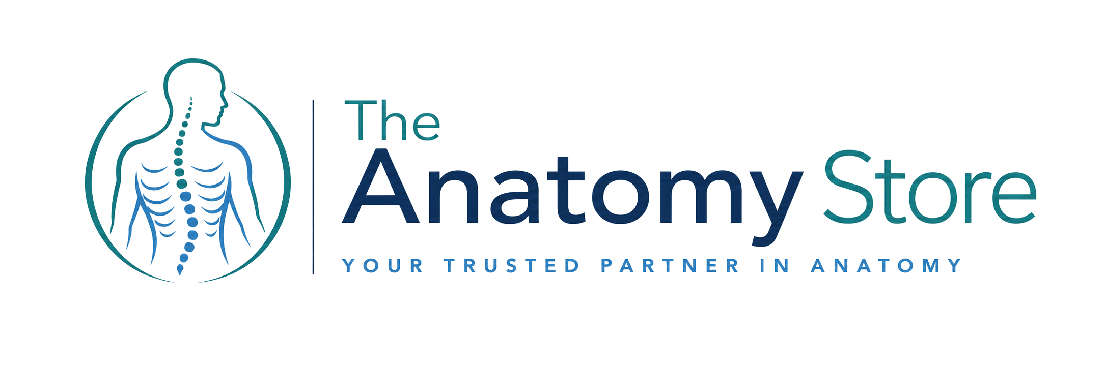 The Anatomy Store