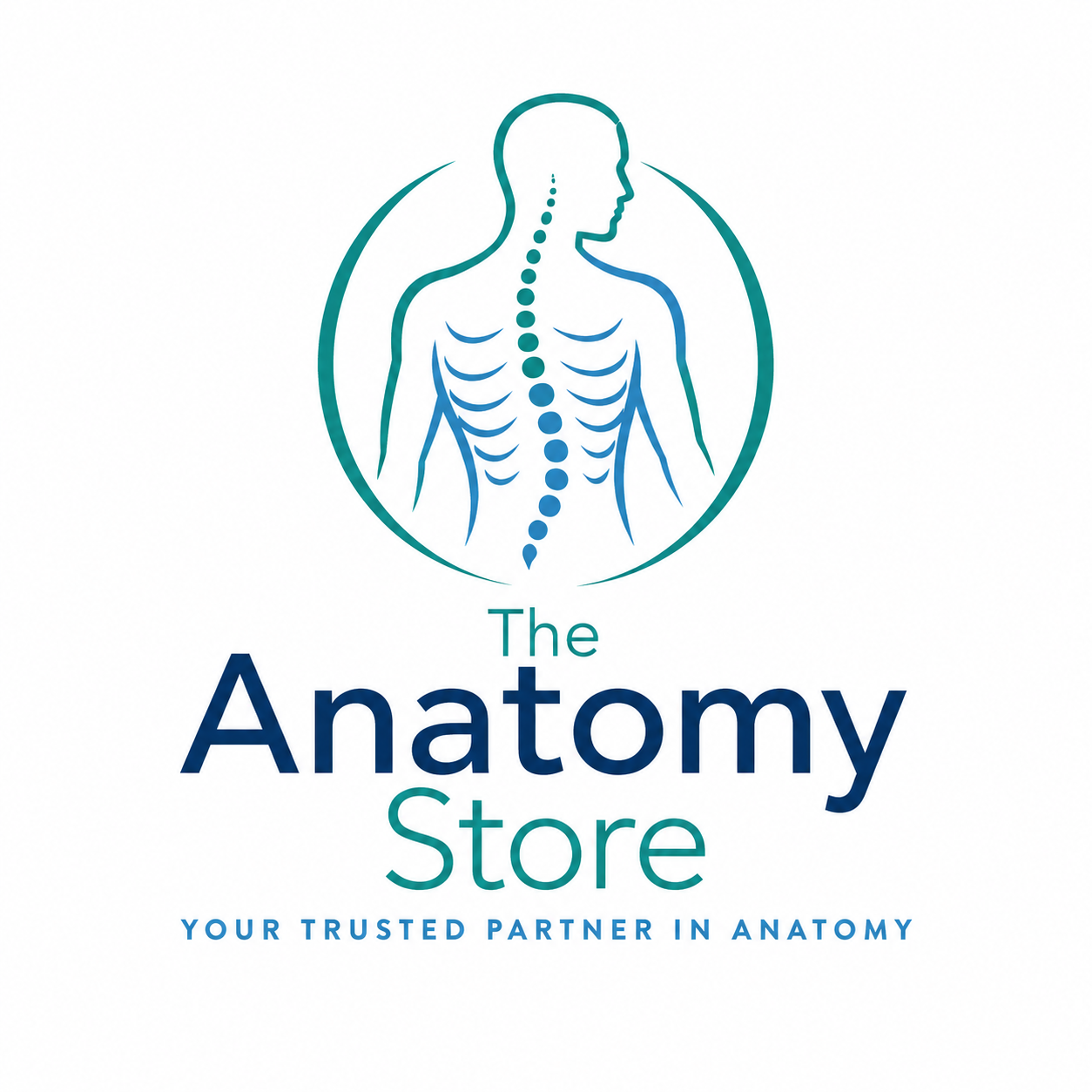 The Anatomy Store logo